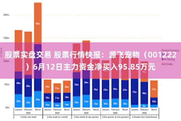 股票实盘交易 股票行情快报：源飞宠物（001222）6月12日主力资金净买入95.85万元