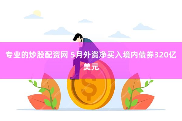 专业的炒股配资网 5月外资净买入境内债券320亿美元