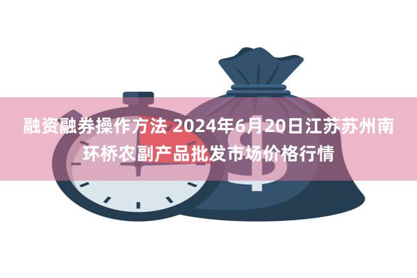 融资融券操作方法 2024年6月20日江苏苏州南环桥农副产品批发市场价格行情