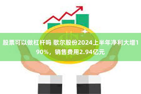 股票可以做杠杆吗 歌尔股份2024上半年净利大增190%，销售费用2.94亿元