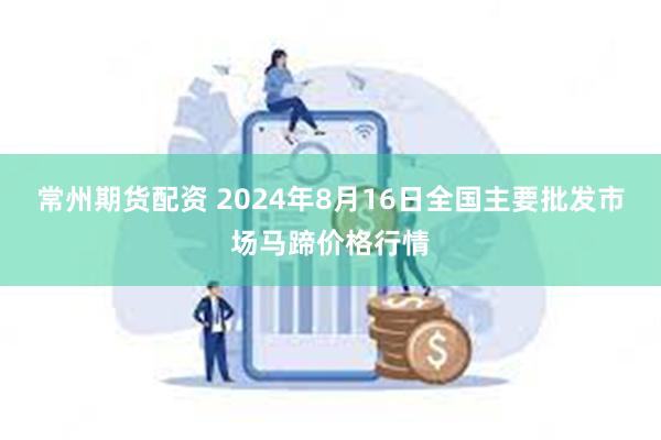 常州期货配资 2024年8月16日全国主要批发市场马蹄价格行情