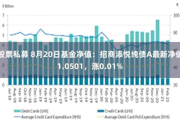 股票私募 8月20日基金净值：招商添悦纯债A最新净值1.0501，涨0.01%