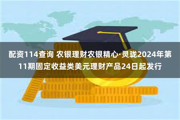 配资114查询 农银理财农银精心·灵珑2024年第11期固定收益类美元理财产品24日起发行