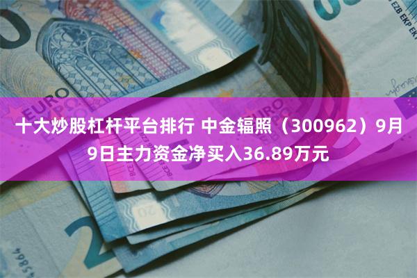 十大炒股杠杆平台排行 中金辐照（300962）9月9日主力资金净买入36.89万元