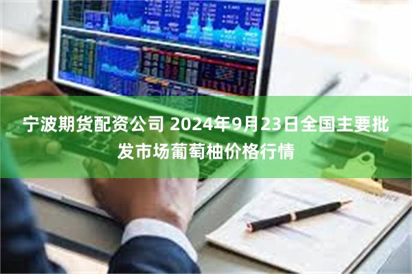 宁波期货配资公司 2024年9月23日全国主要批发市场葡萄柚价格行情