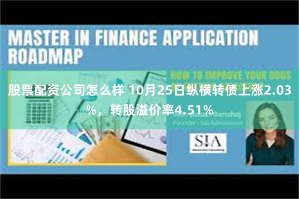 股票配资公司怎么样 10月25日纵横转债上涨2.03%，转股溢价率4.51%