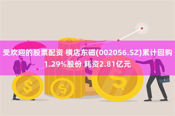 受欢迎的股票配资 横店东磁(002056.SZ)累计回购1.29%股份 耗资2.81亿元