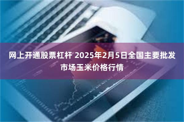 网上开通股票杠杆 2025年2月5日全国主要批发市场玉米价格行情