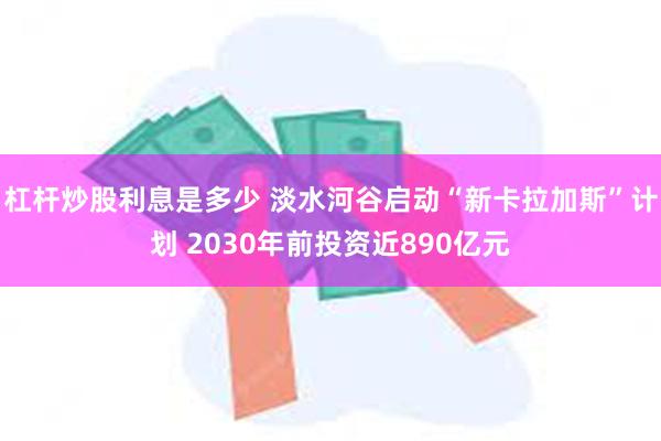 杠杆炒股利息是多少 淡水河谷启动“新卡拉加斯”计划 2030年前投资近890亿元