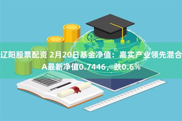 辽阳股票配资 2月20日基金净值：嘉实产业领先混合A最新净值0.7446，跌0.6%