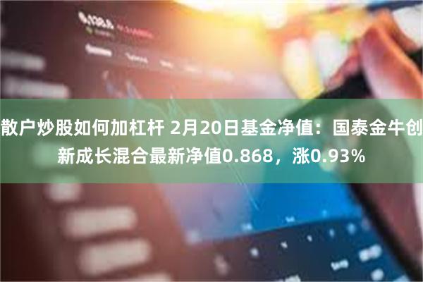 散户炒股如何加杠杆 2月20日基金净值：国泰金牛创新成长混合最新净值0.868，涨0.93%