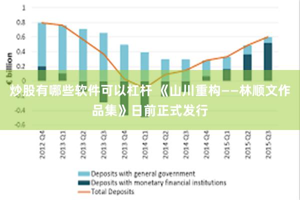 炒股有哪些软件可以杠杆 《山川重构——林顺文作品集》日前正式发行